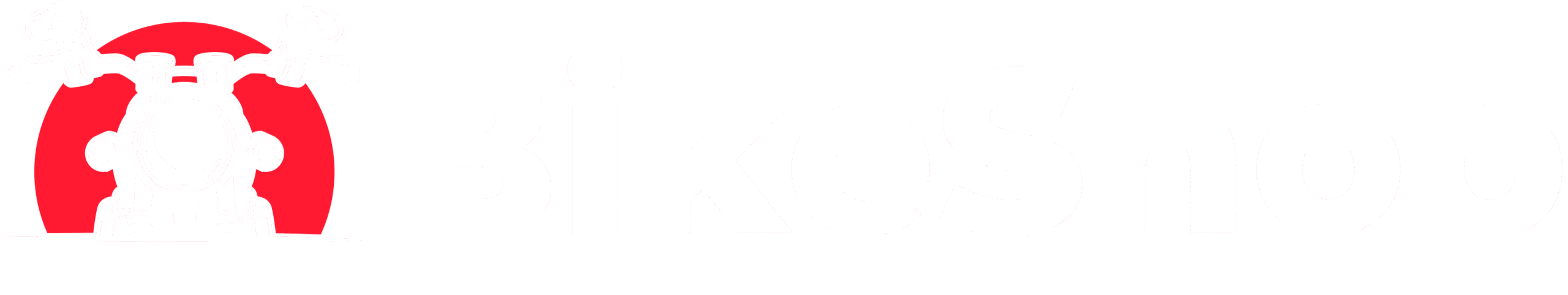 electricbikeshopau.com