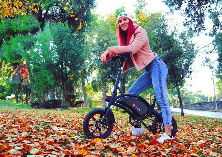 DYU D3F 36V/10Ah 250W Folding Electric Mini Bike