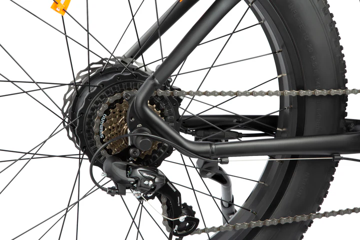 DYU King 750 48V/20Ah 750W Fat Tire Electric Bike