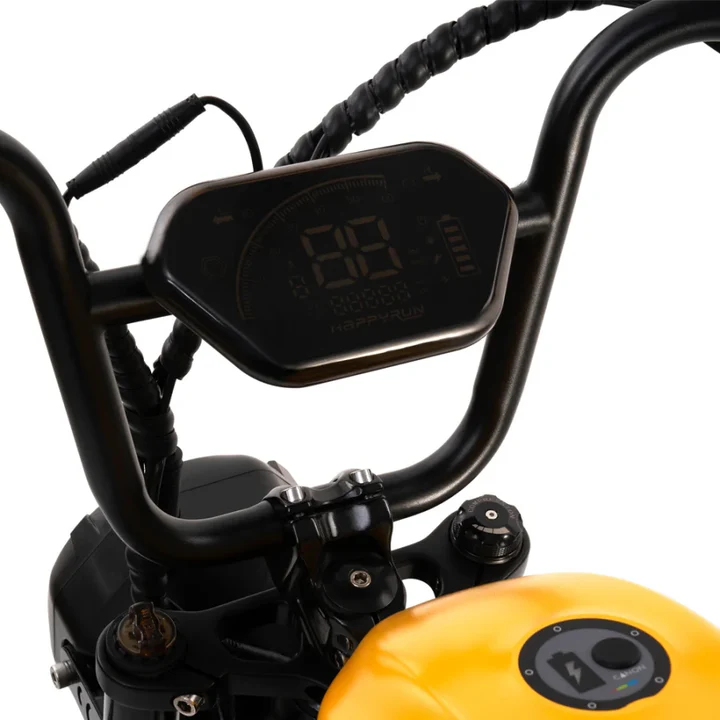 HappyRun G100 48V/38Ah 2000W Dual Battery Electric Bike