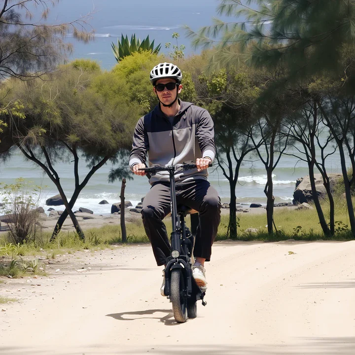 Hiboy Q2 36V/9Ah 422W Electric Scooter