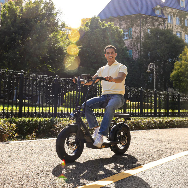 Hiboy U2 Pro 48V/13Ah 750W Electric Scooter